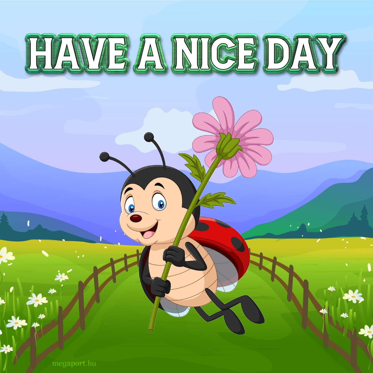 Have a nice day - Megaport Media