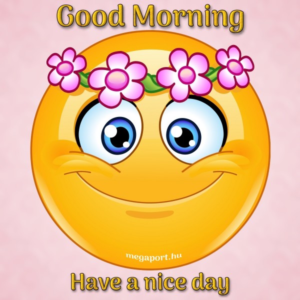 Have A Nice Day Pictures And Videos Have A Nice Day Kepek Es Videok Megaport Media