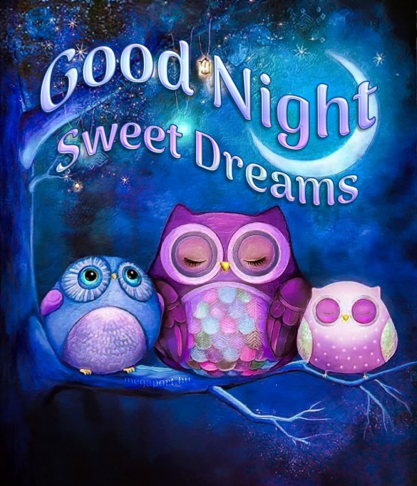 Good Night, Sweet Dreams - Megaport Media