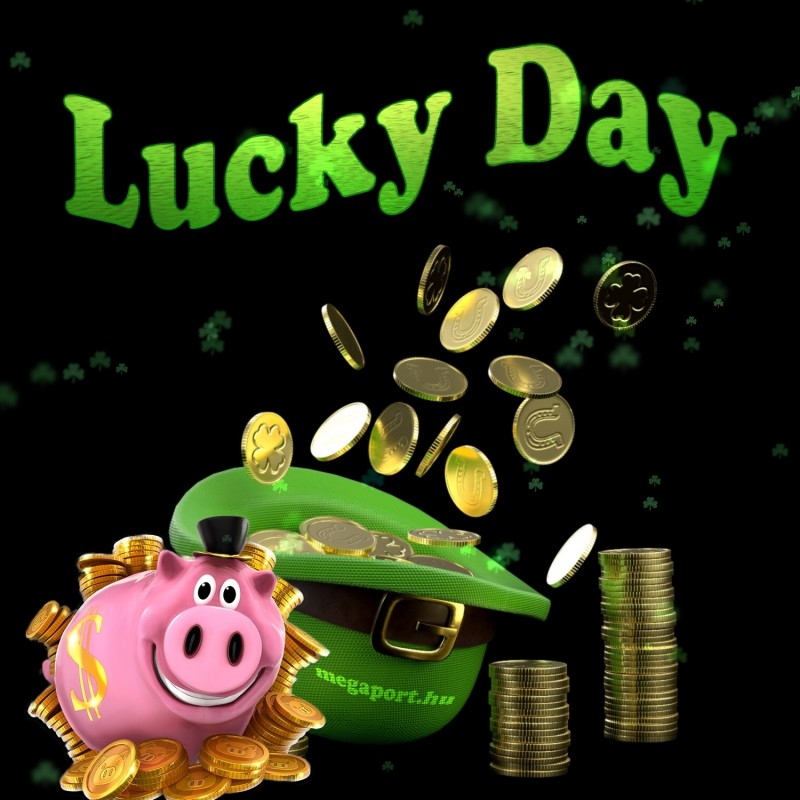 Lucky Day Megaport Media K pek Vide k Anim ci k