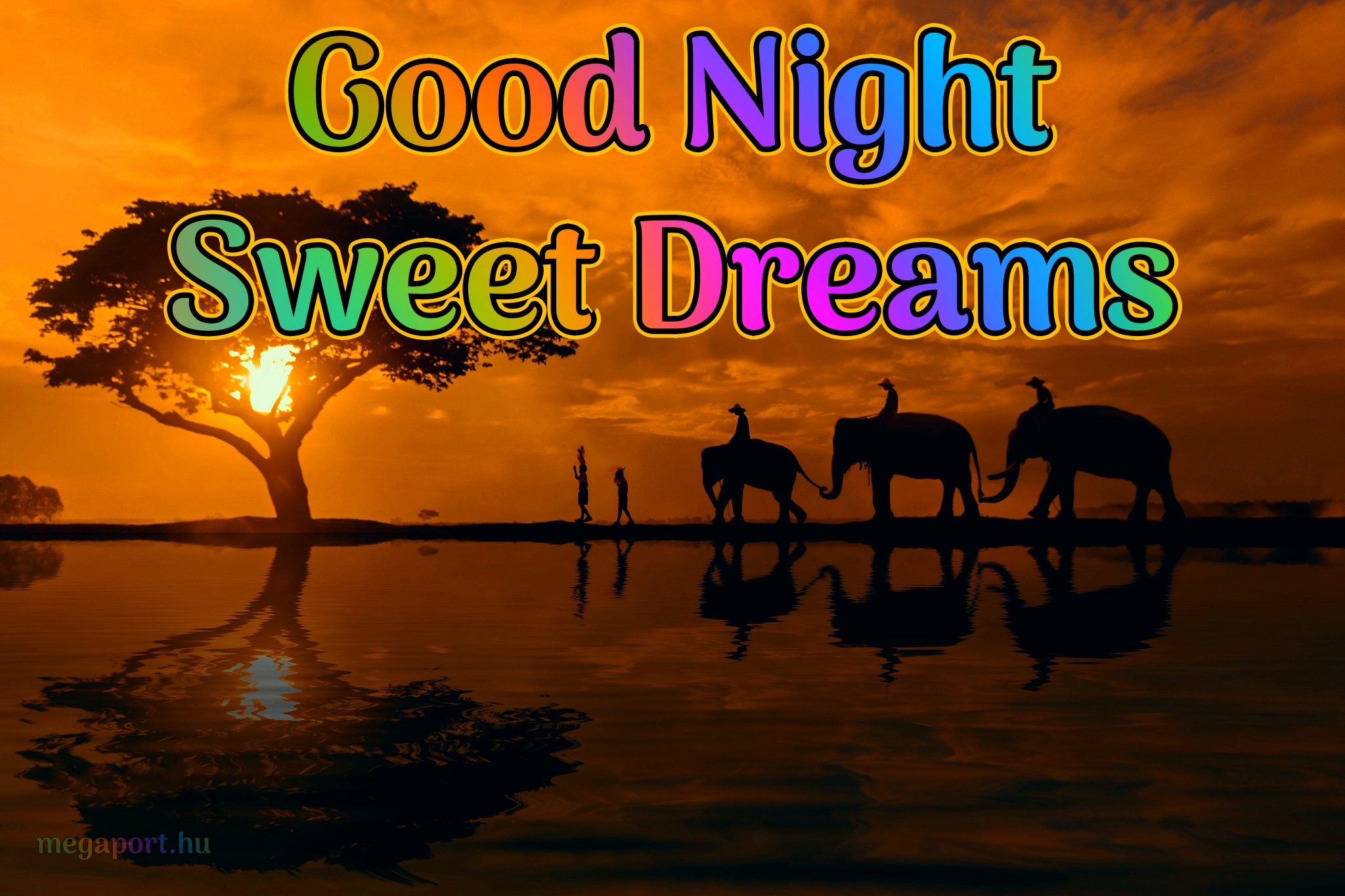 Good Night Sweet Dreams Megaport Media